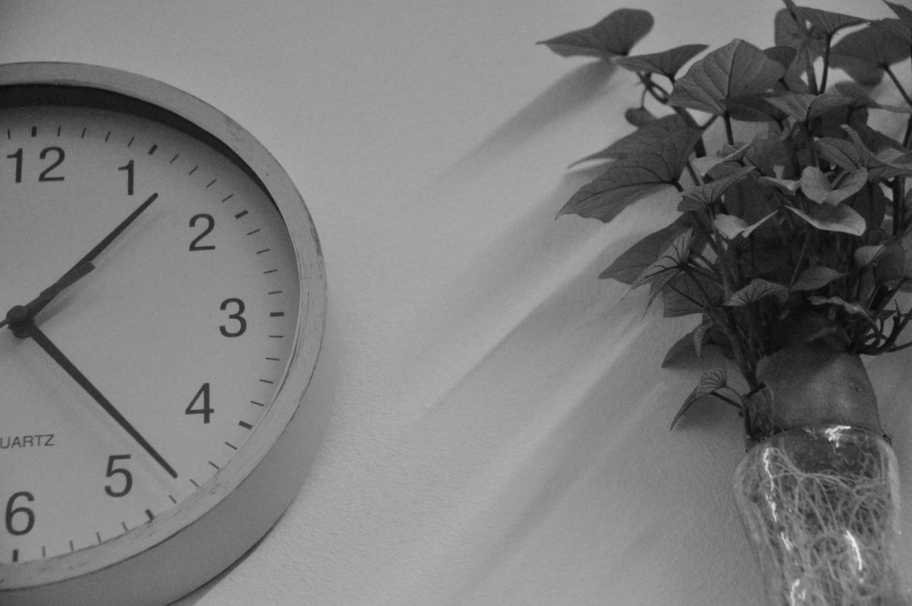 Lisboa Arte Hostel Buitenkant foto